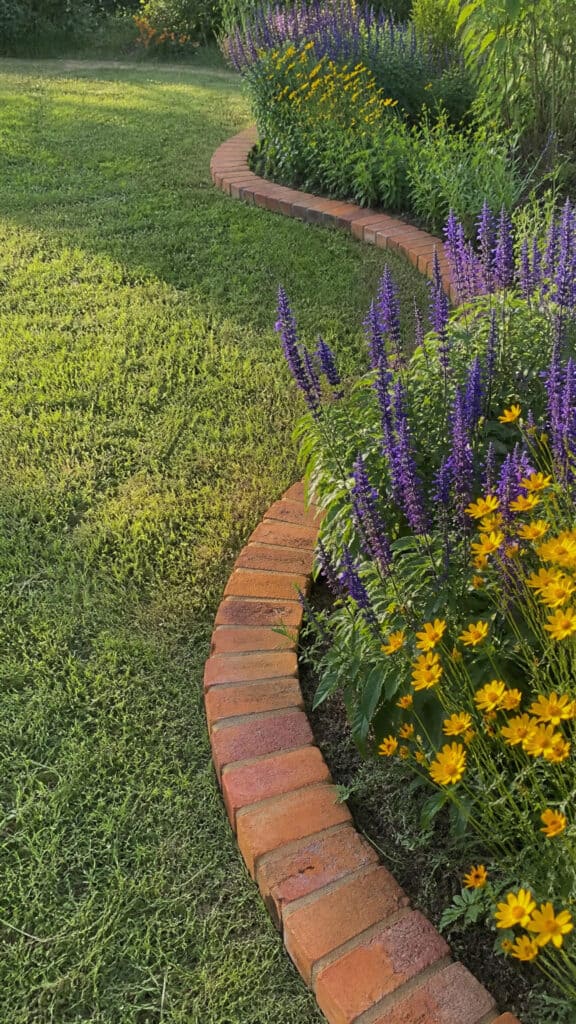 Curved Serpentine Border