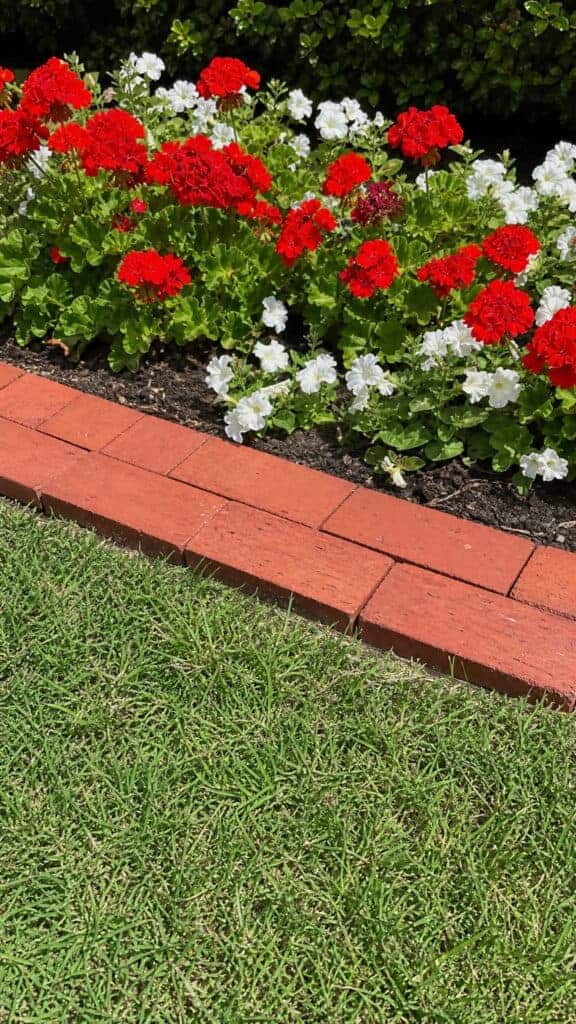 Flat Horizontal Border with Decorative Edge