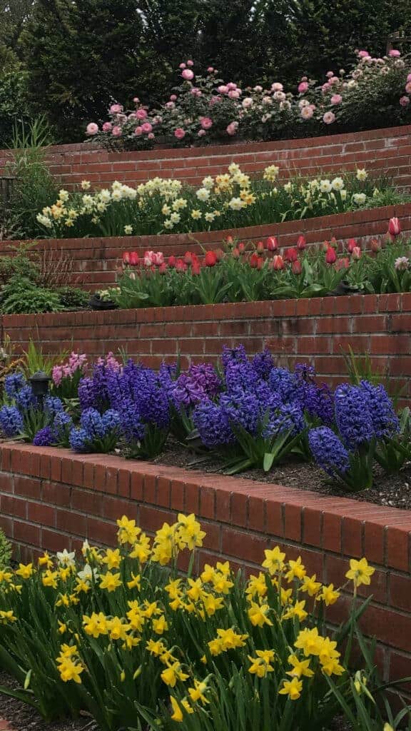 Tiered Terraced Border