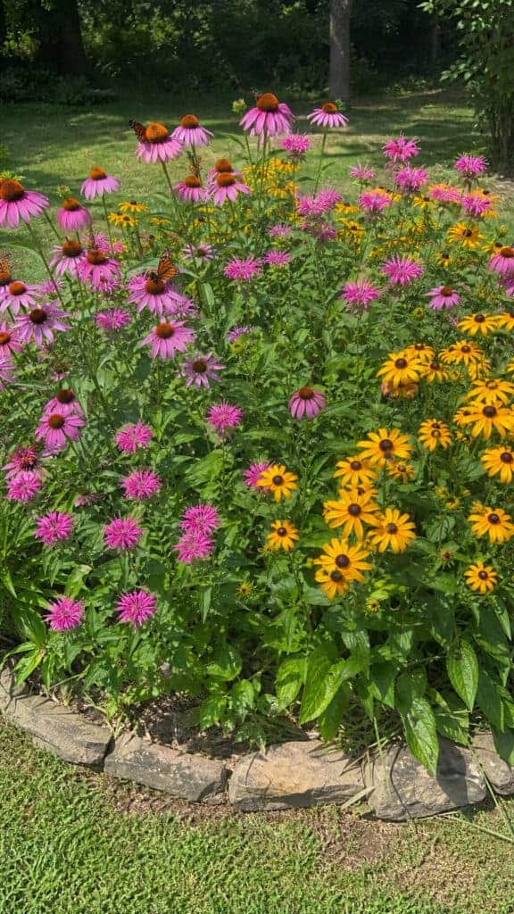 Butterfly and Pollinator Paradise Circle