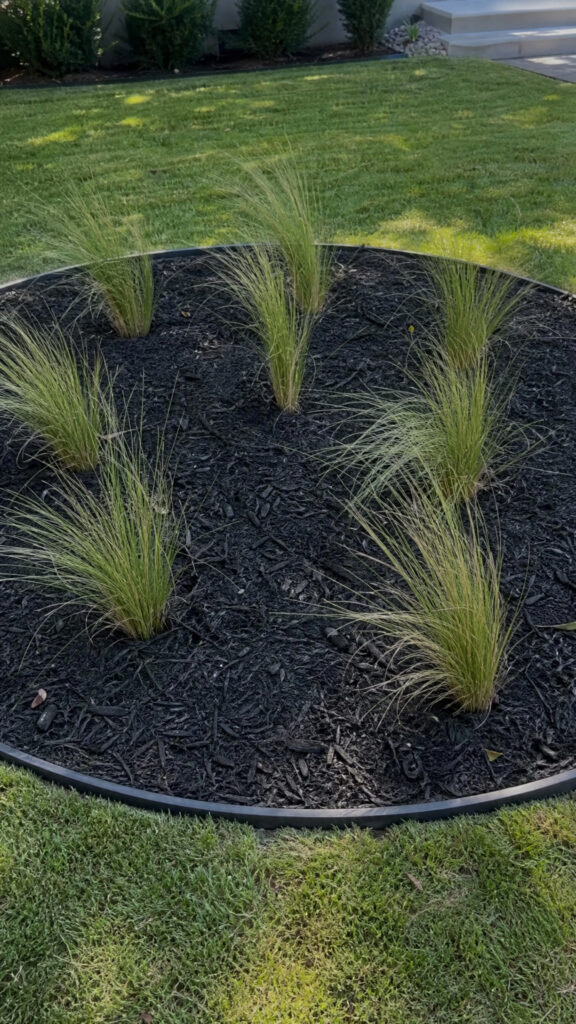 Modern Minimalist Circle with Ornamental Grasses