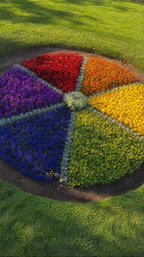 Rainbow Color Wheel Garden