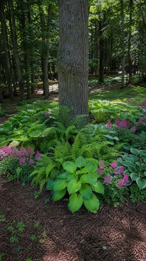 Shade-Loving Circle Under Trees
