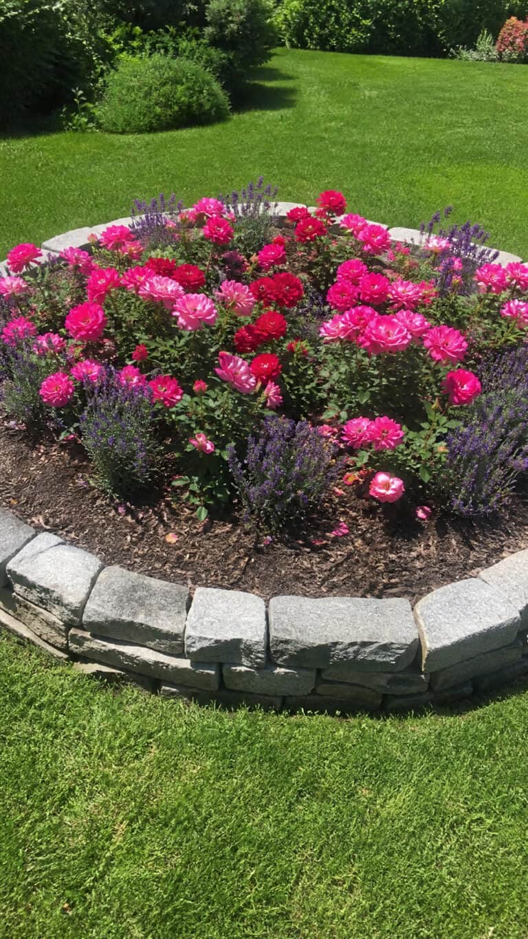 Classic Rose Circle with Stone Edging