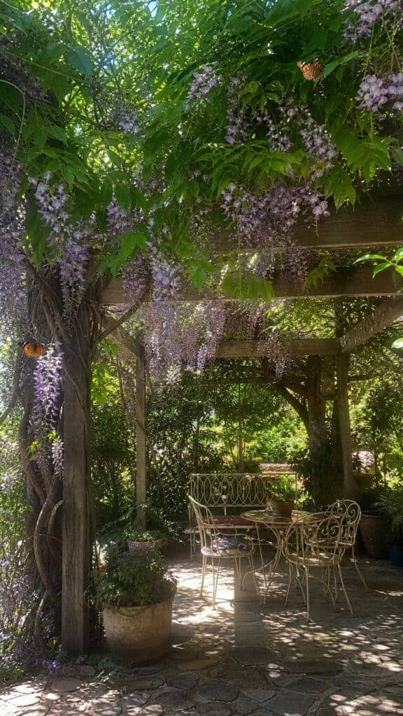 Vine-Covered Living Pergola with Partial Shade