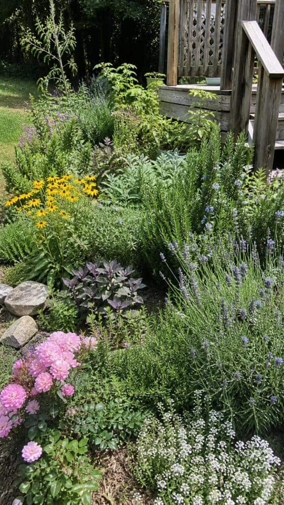 Herb and Flower Combination for Function and Beauty
