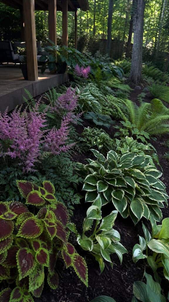 Shade-Loving Plants for Covered Deck Areas