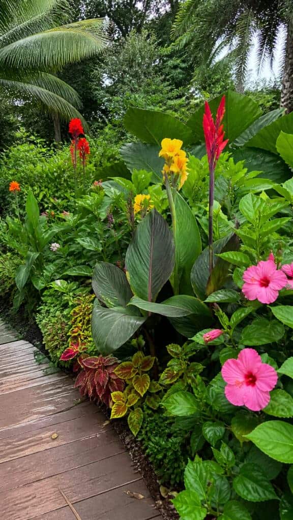 Tropical Paradise with Bold Foliage