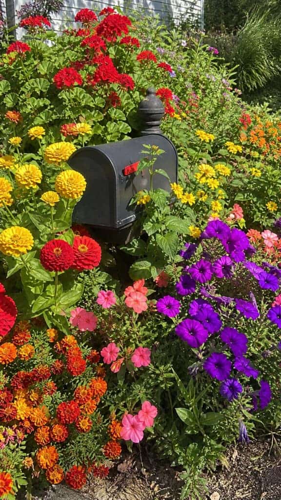 Colorful Annual Explosion