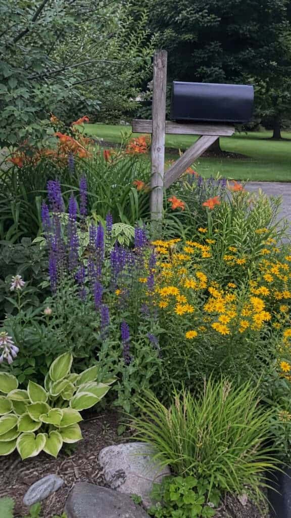 Perennial Paradise for Low Maintenance