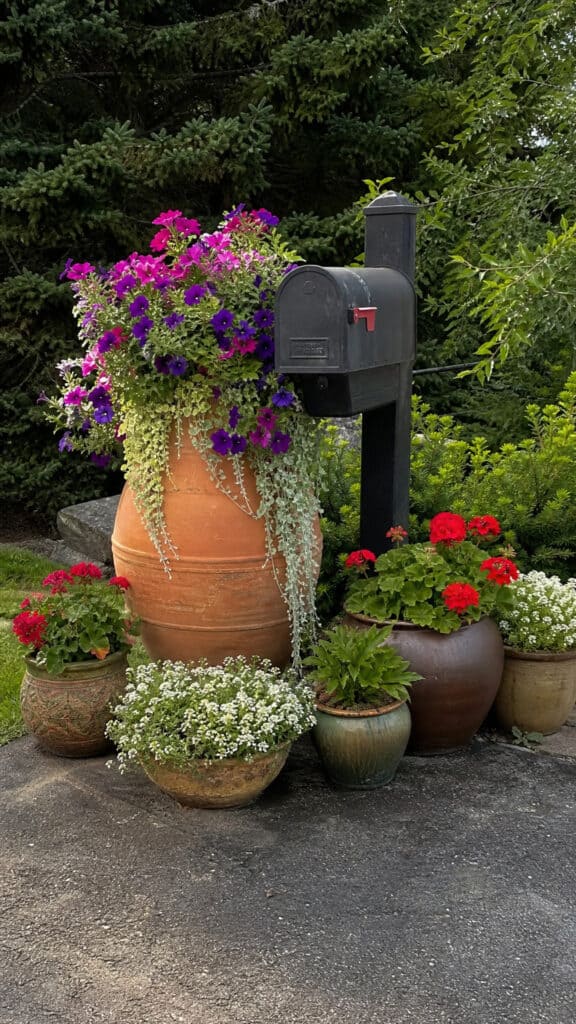 Seasonal Container Garden Around Mailbox