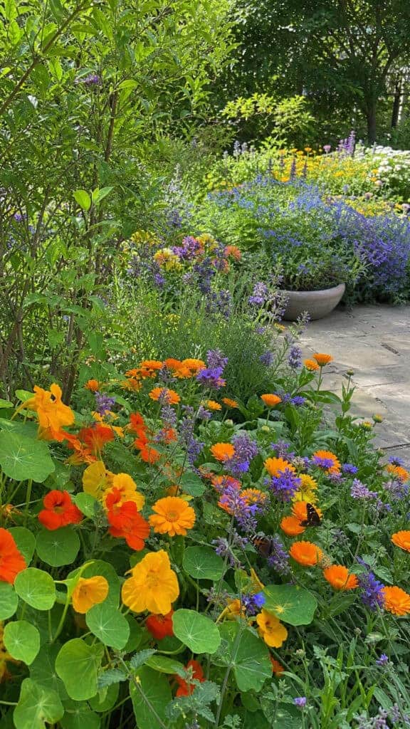 Edible Flower Gardens That Look Amazing