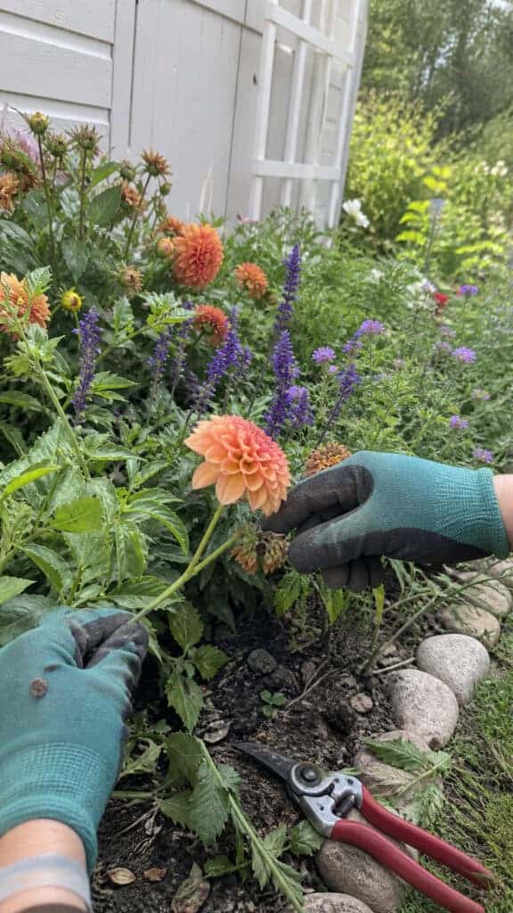 Maintain Your Flower Bed Through the Seasons