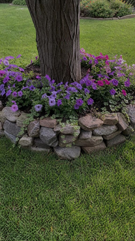 Layered Stone Border Design