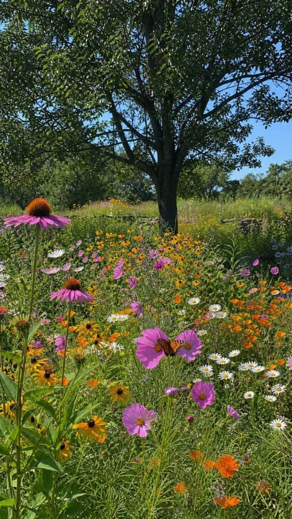 Wildflower Meadow Style