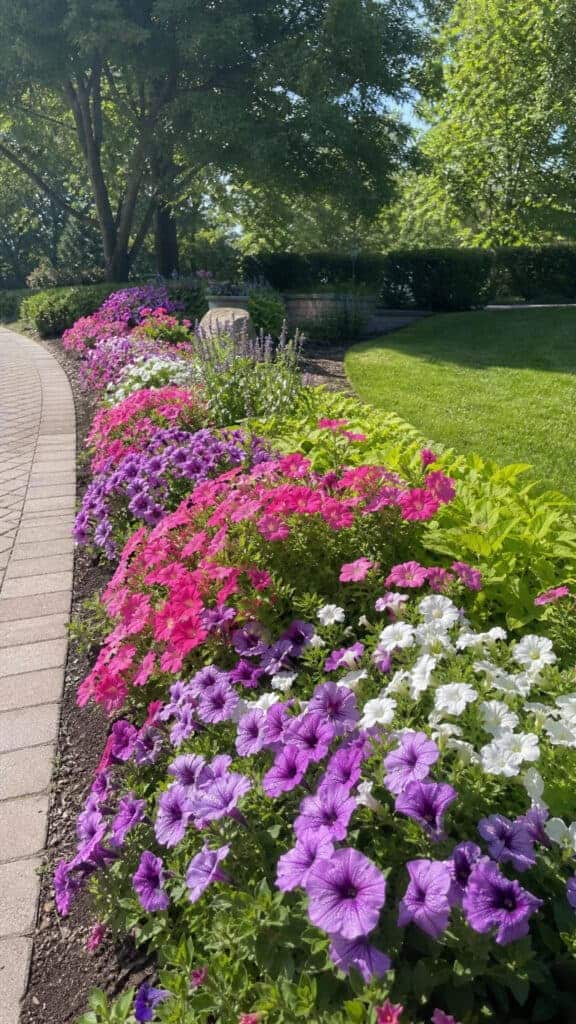 Choose the Perfect Location for Your Flower Beds