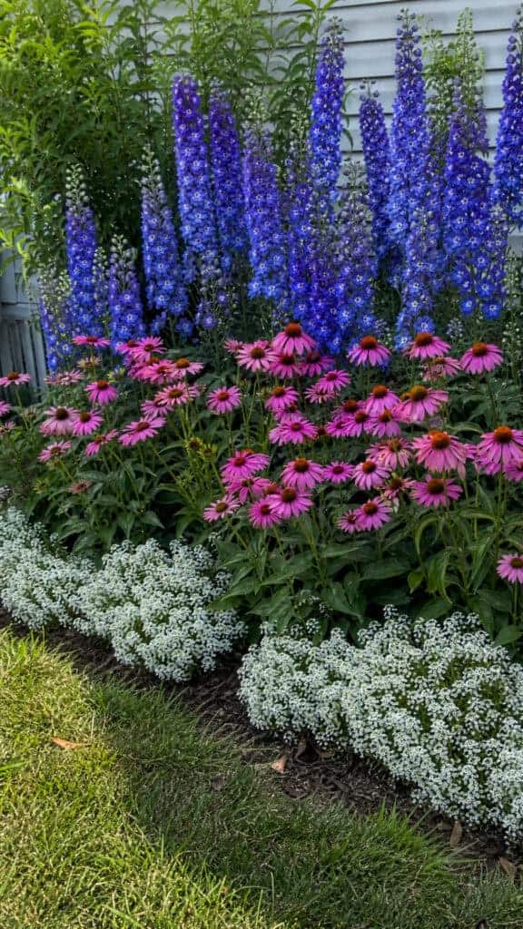 Layer Plants by Height for Maximum Impact