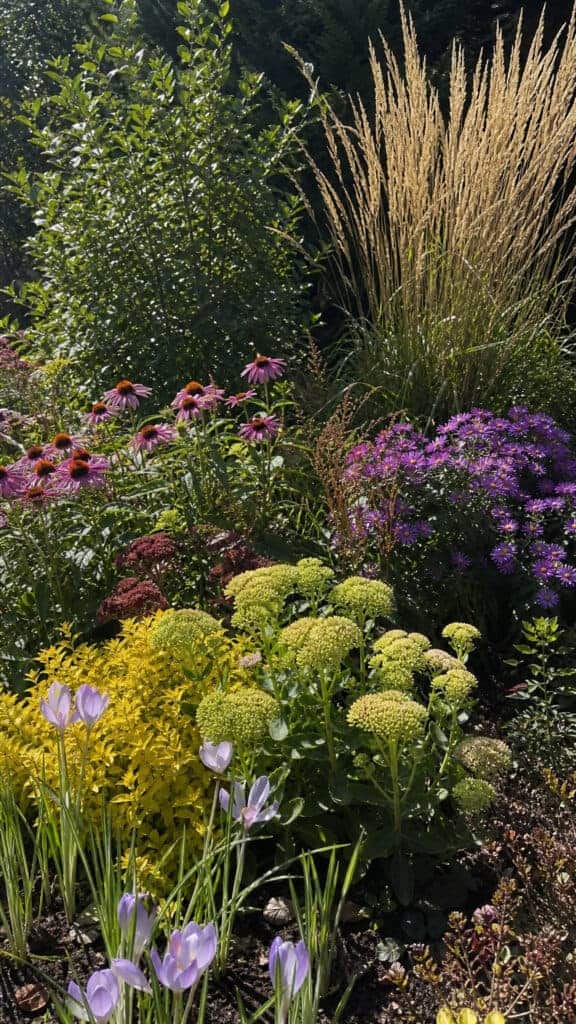Plan for Seasonal Interest Throughout the Year