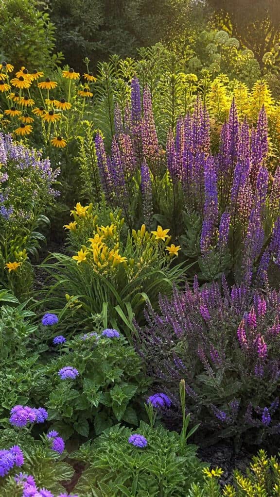 Select a Color Scheme That Wows