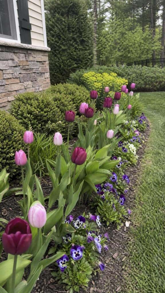Seasonal Rotation Ideas for Year-Round Interest