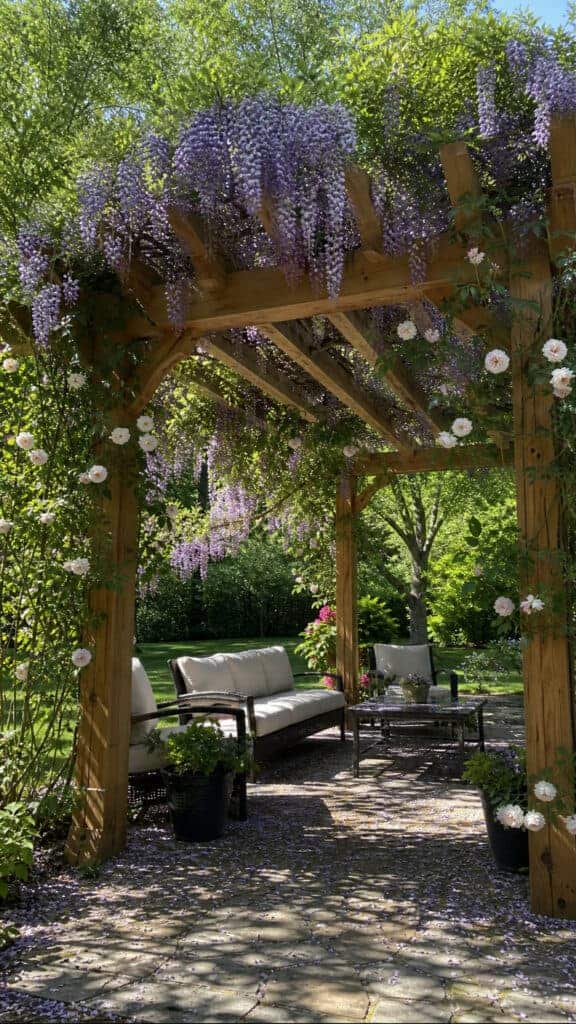 Classic Wooden Pergola with Climbing Vines