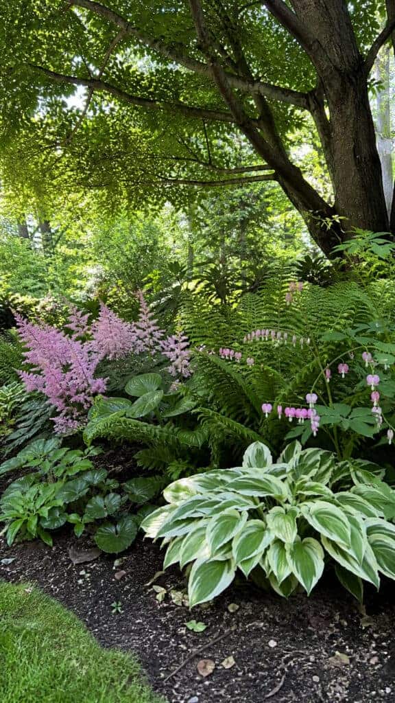 Shade Garden Flower Beds