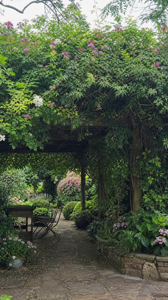 Living Roof Pergola with Greenery