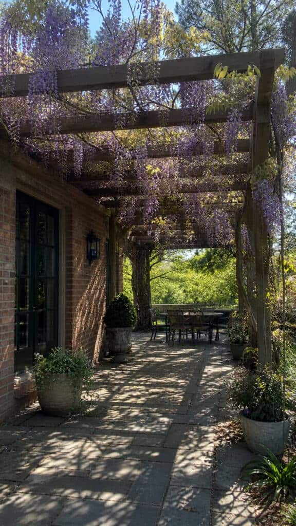 Classic Wooden Pergola with Climbing Vines