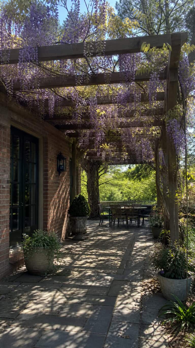 Classic Wooden Pergola with Climbing Vines