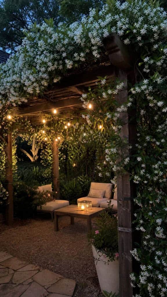 Fragrant Jasmine for Evening Relaxation