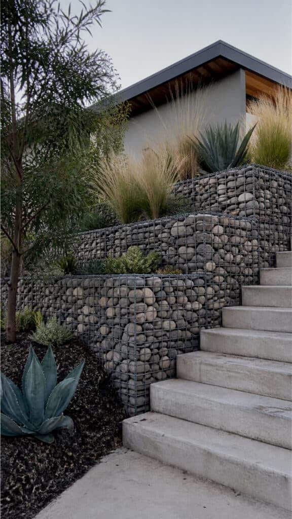 Gabion Wall with Modern Plantings