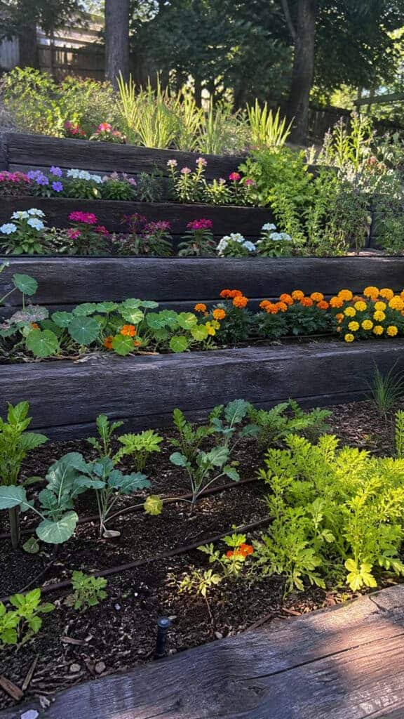 Railroad Tie Terraced Beds
