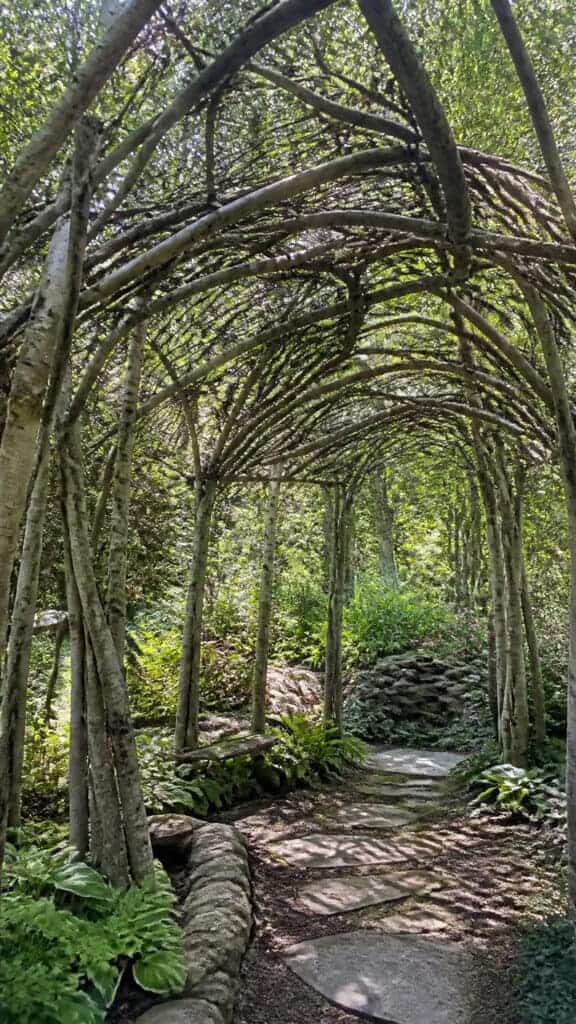 Branch and Twig Pergola for Natural Charm