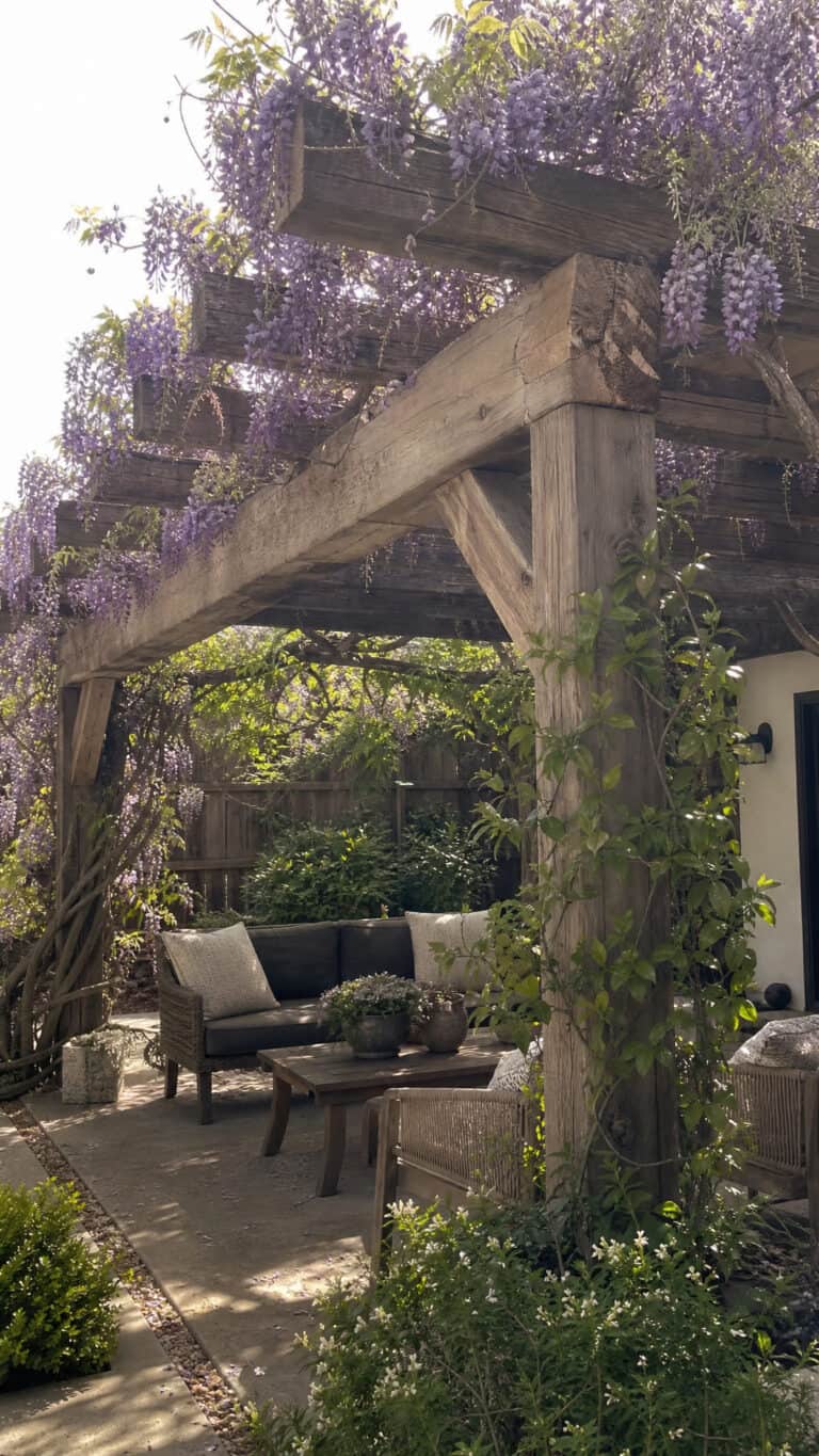 Reclaimed Wood Beam Pergola with Climbing Vines