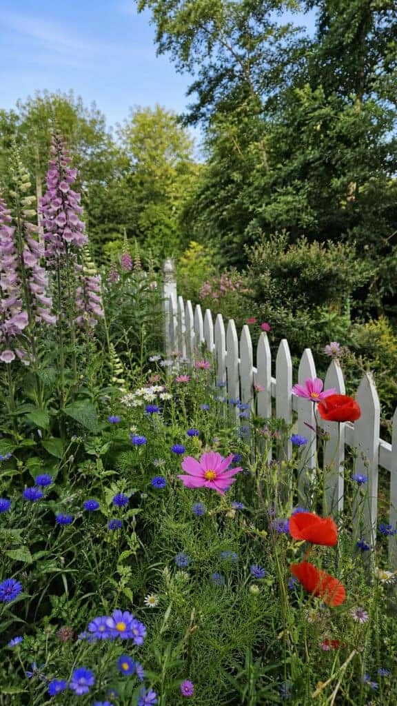 The Classic Cottage Garden Border