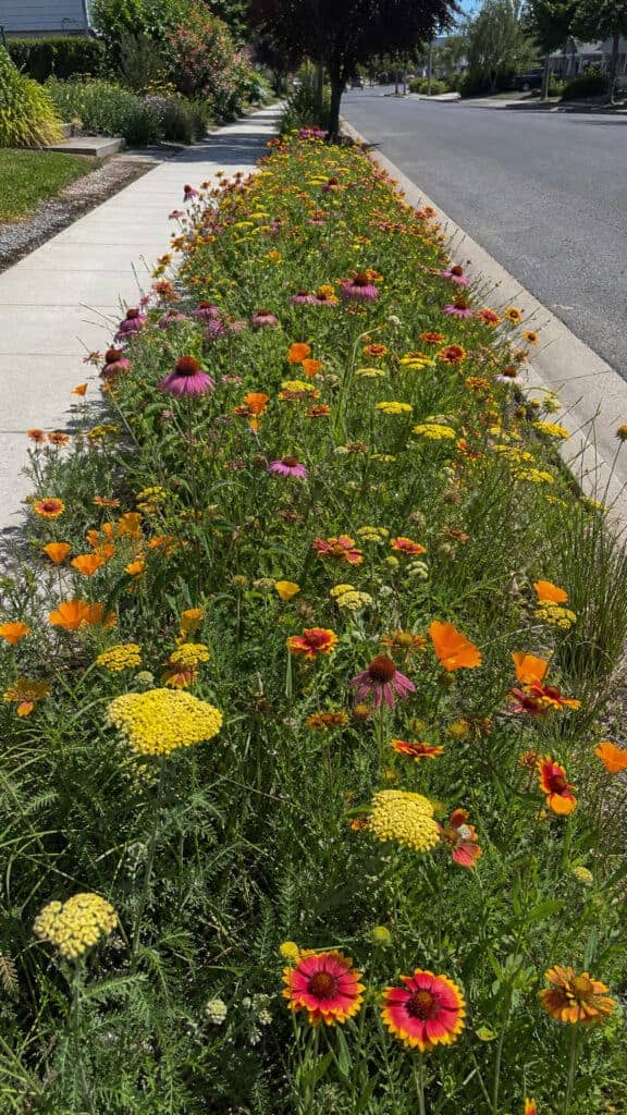 The Parking Strip Paradise