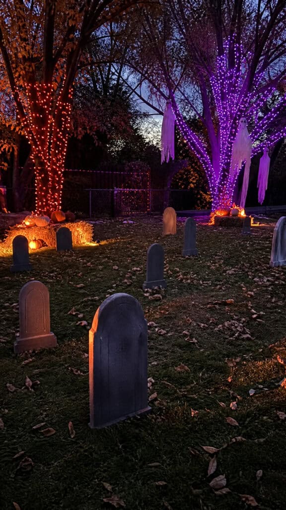 Transform Your Space with Easy Outdoor Decorations