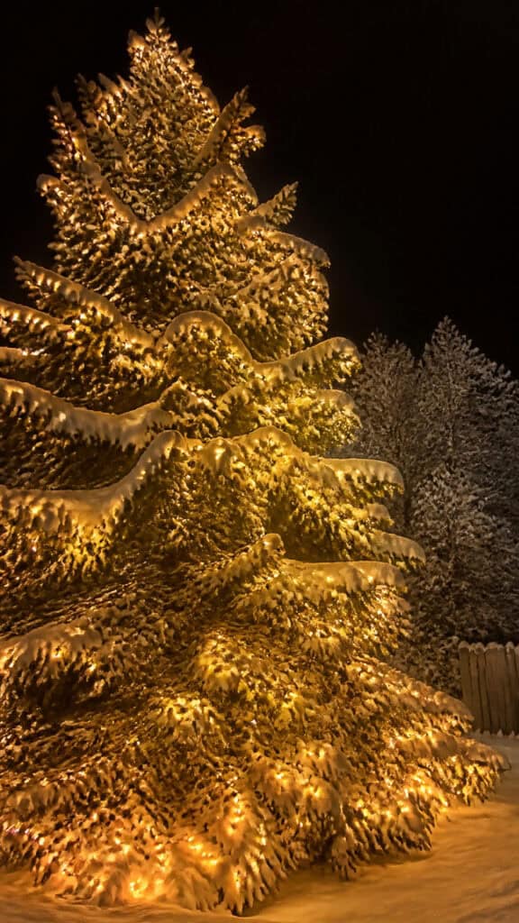 Maintaining Your Lights Throughout the Season