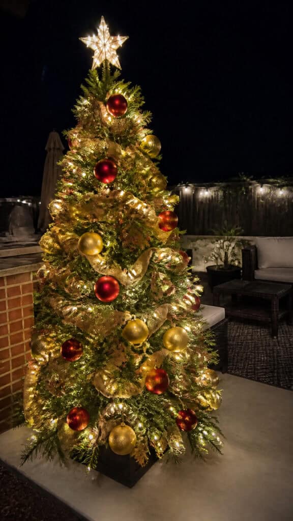 Outdoor Christmas Tree Display