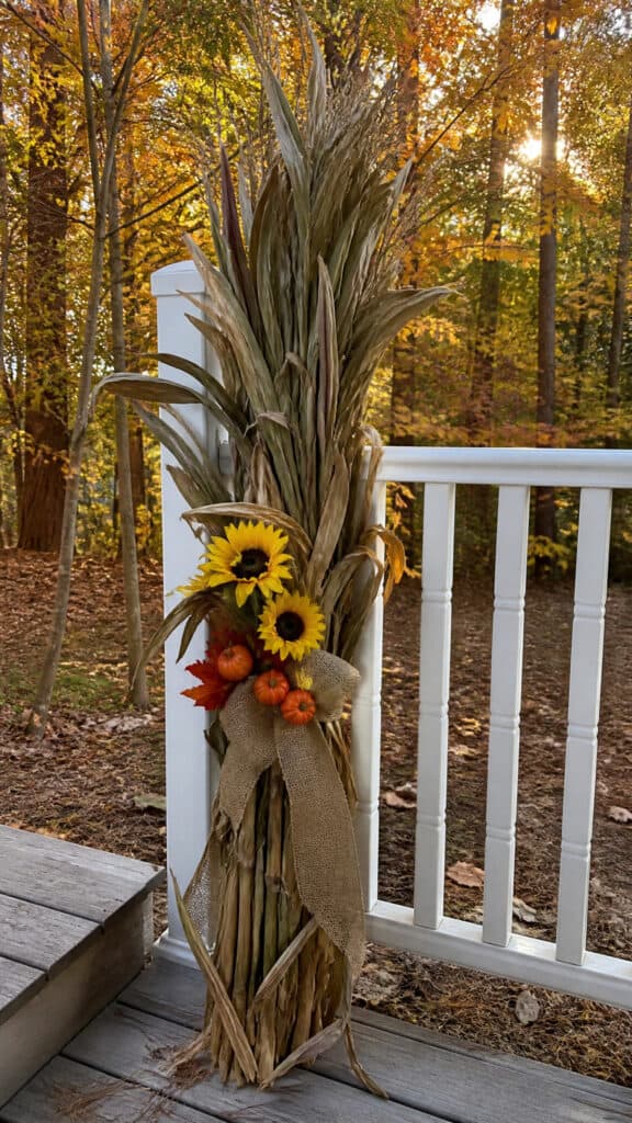 Colorful Corn Stalk Bundles