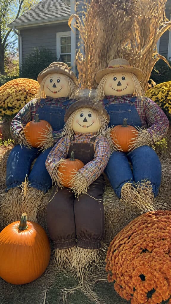 Scarecrows and Friendly Characters