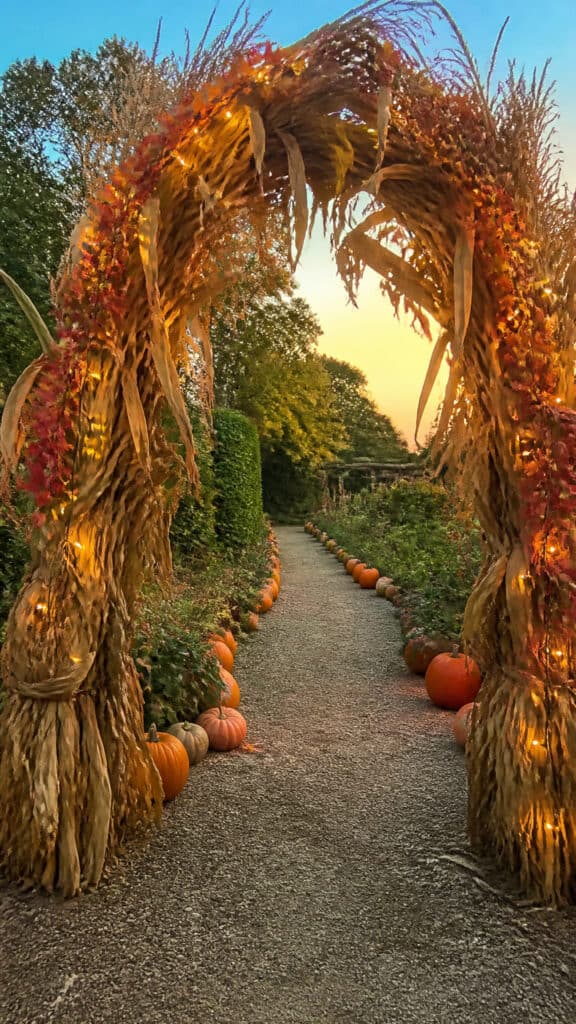 Corn Stalk Arbor Archway