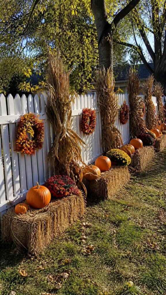 Corn Stalk Fence Line Display