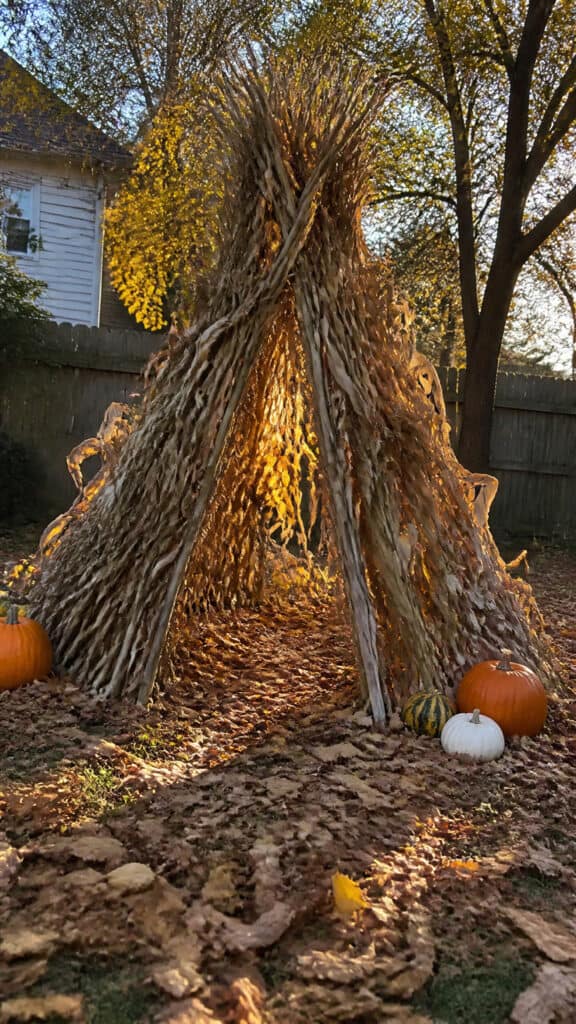 Corn Stalk Teepee Play Structure