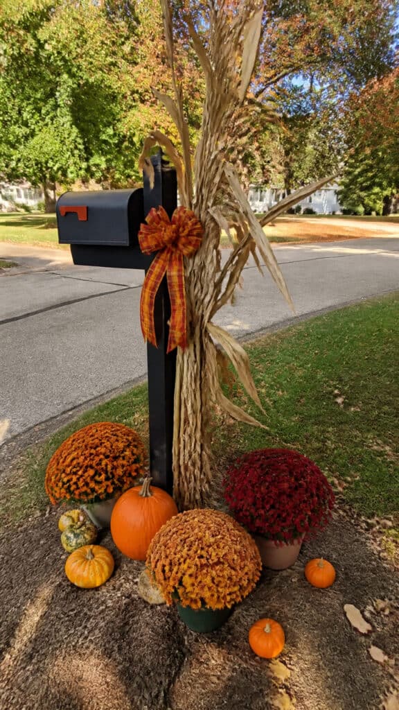 Mailbox Corn Stalk Cluster