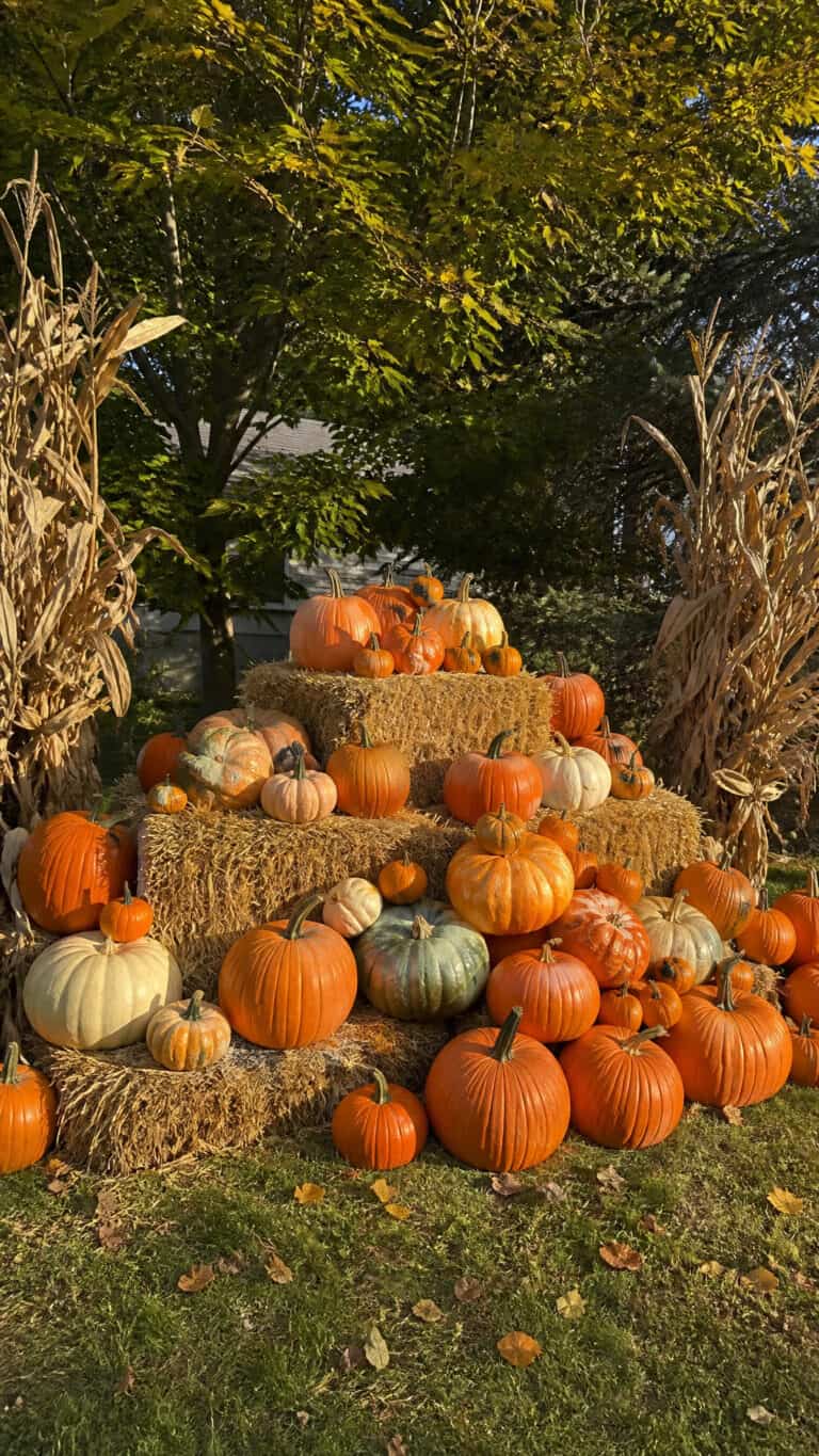 Classic Pumpkin Pyramid Display