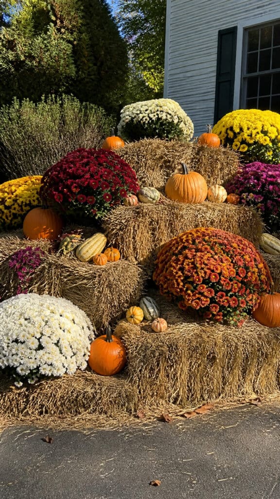 Fall Flower Garden Risers
