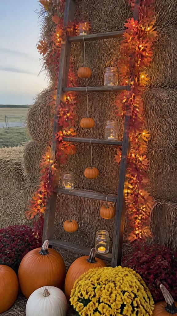 Farmhouse Ladder Display