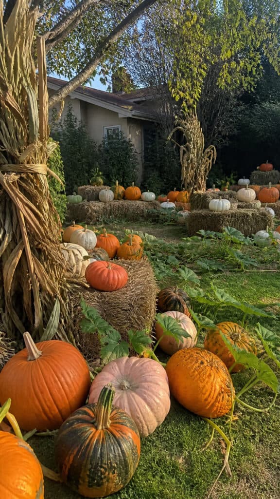Storybook Pumpkin Patch Display