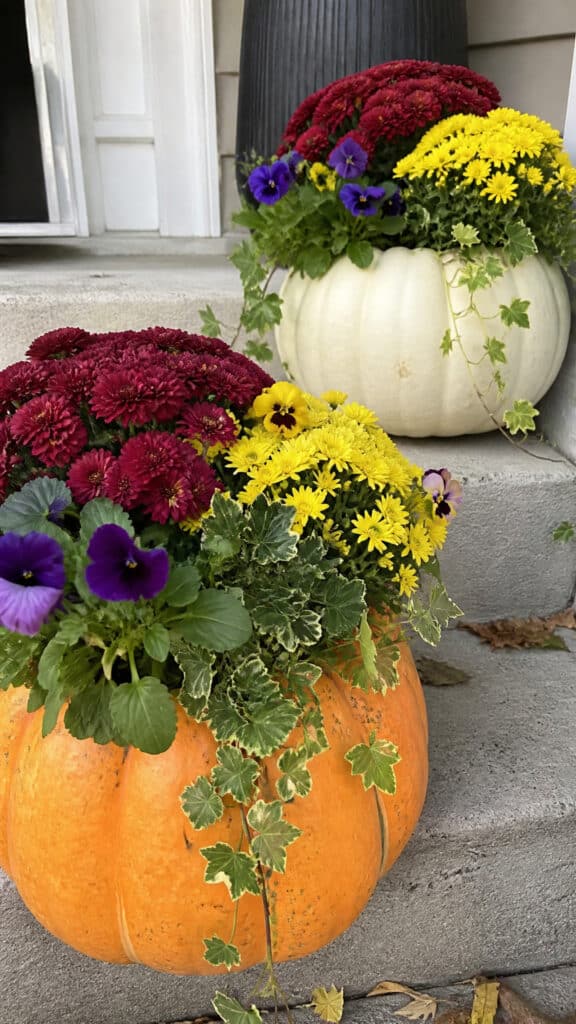 Pumpkin Planters with Gorgeous Fall Blooms